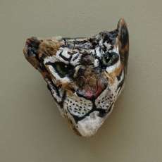 Driftwood Tiger