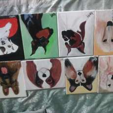 Kathy Saltalamacchio