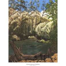 Richmond Sprins at Backbone