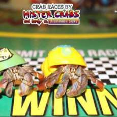 Racing Crabs