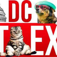 DC / Virginia Pet Expo