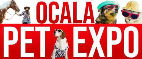 Ocala Pet Expo