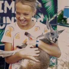 Kangaroo at Cool Expos