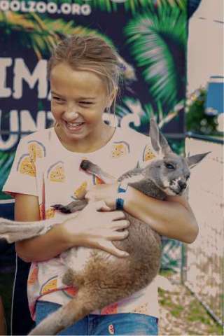Kangaroo at Cool Expos