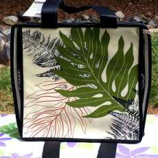 Bento Casserole: Sweet Fern Cream