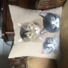 Customized Hand-Painted Pet Pillows