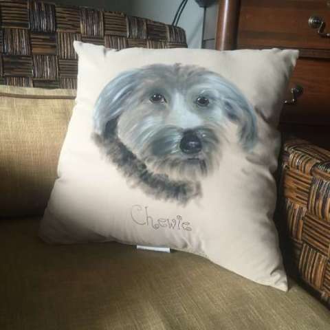Customized Hand-Painted Pet Pillows