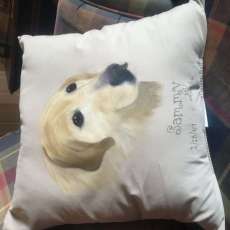 Customized Hand-Painted Pet Pillows