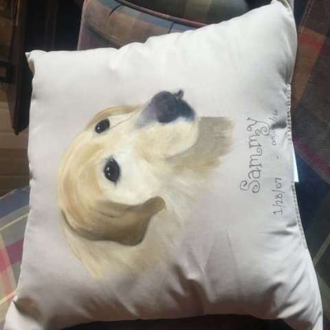 Customized Hand-Painted Pet Pillows