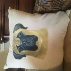 Customized Hand-Painted Pet Pillows