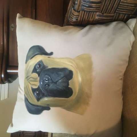 Customized Hand-Painted Pet Pillows