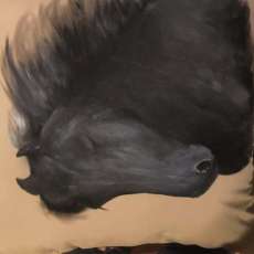 Customized Hand-Painted Pet Pillows