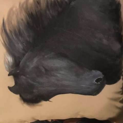 Customized Hand-Painted Pet Pillows