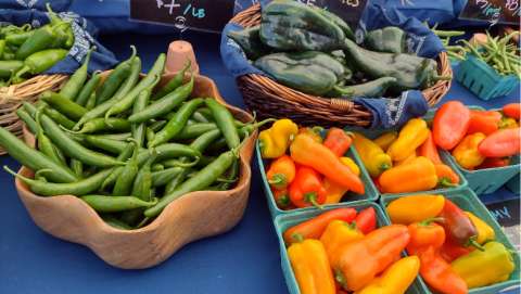 Canyonville Farmers Market - September