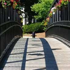 Thomas P Linsenmeyer