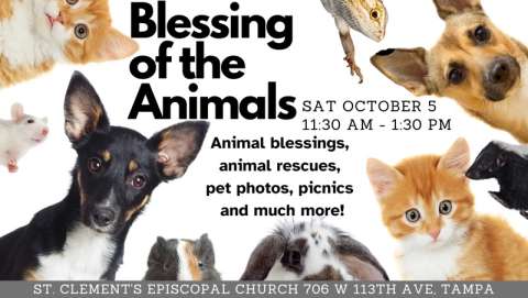 Blessing of the Animals Celebration