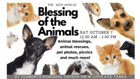 Blessing of the Animals Celebration