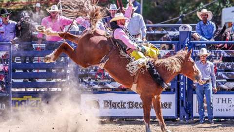 Gold Country Pro Rodeo