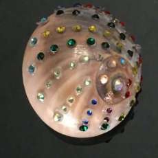 Shark Eye Paperweight