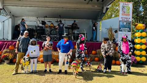 Snellville Fall Festival