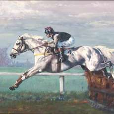 Desert Orchid