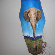 Elephant Portrait With Scene