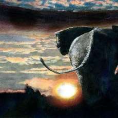 Sunset on the Serengeti