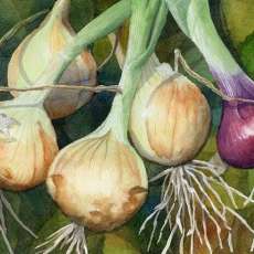 We Are All Friends Here