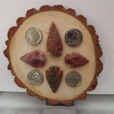 Arrowhead and Buffalo Nickel Display