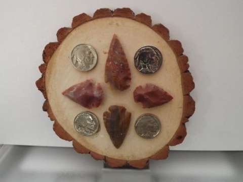 Arrowhead and Buffalo Nickel Display