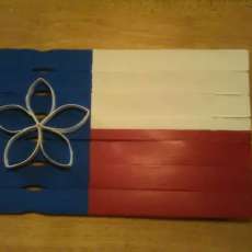 Texas Flag