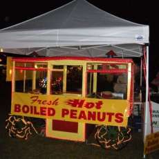 P'Nuts Cart at night