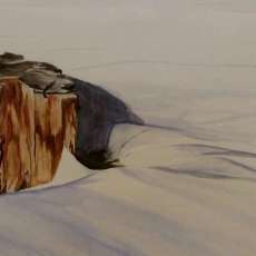Stump in the Snow