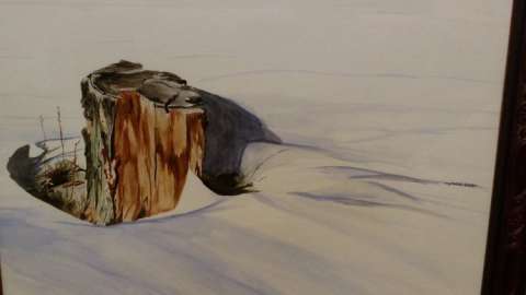 Stump in the Snow