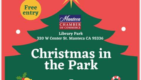 Christmas in the Park