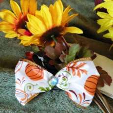 Fall Holiday Barrett