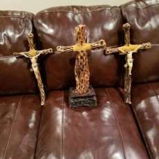 Examples of Coming Cholla Wood Sales