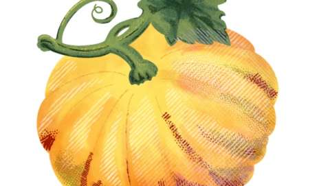 Harvestfest