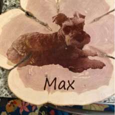 Max