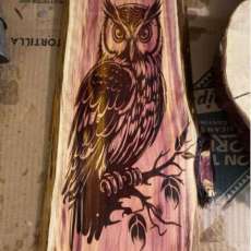 Owl on Live Edge Cedar