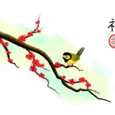 Hooded Warbler Feng Sui Prosperity
