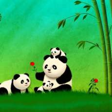 Longevity Feng Sui Panda Family