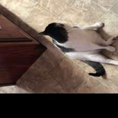 Amanda Michael Moore