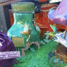 Faery Habitat - Town Center