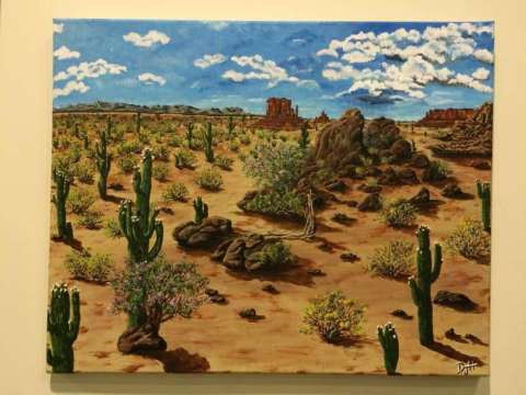 Storm in Sonoran Desert, Canvas