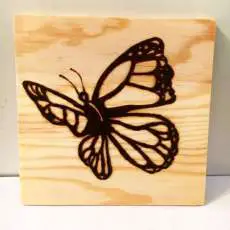 Woodburned Projects!