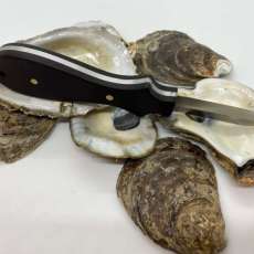 Oyster Knife
