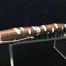 Australian Banksia Pod