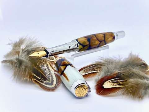 Real Ringneck Pheasant Feathers
