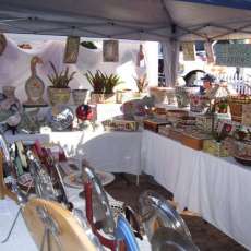 Best in Show Winner , Saint Cloud Fl